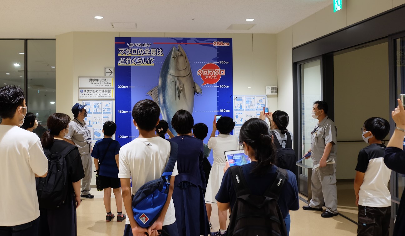 市場見学