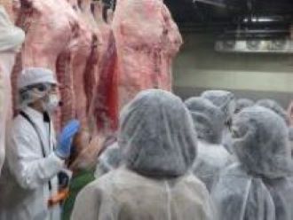 食肉市場の案内を受けている様子