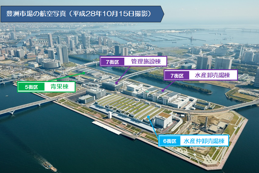 豊洲市場航空写真