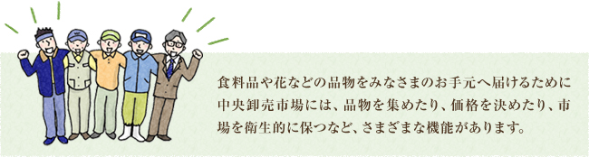 食品や花などの品物をみなさまのお手元へ届けるために中央卸売市場は、品物を集めたり、価格を決めたり、市場を衛生的に保つなど、さまざまな機能があります。