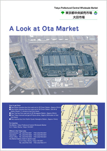 A Look at Ota Market