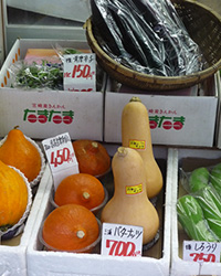 画像：赤皮甘栗南瓜、バターナッツ、奥には熊本の大長茄子と、珍しい野菜も並ぶ