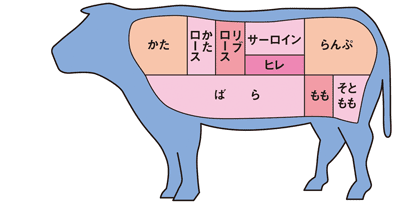 牛肉可食部位図