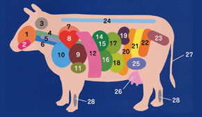 牛の内臓部位図