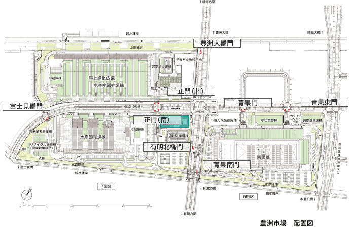 豊洲市場配置図 【7街区】管理施設棟